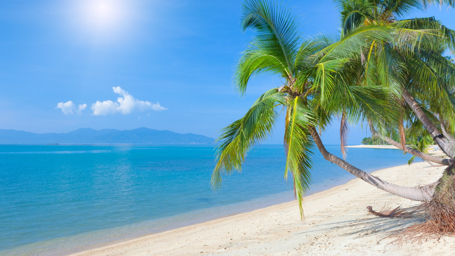 header-img