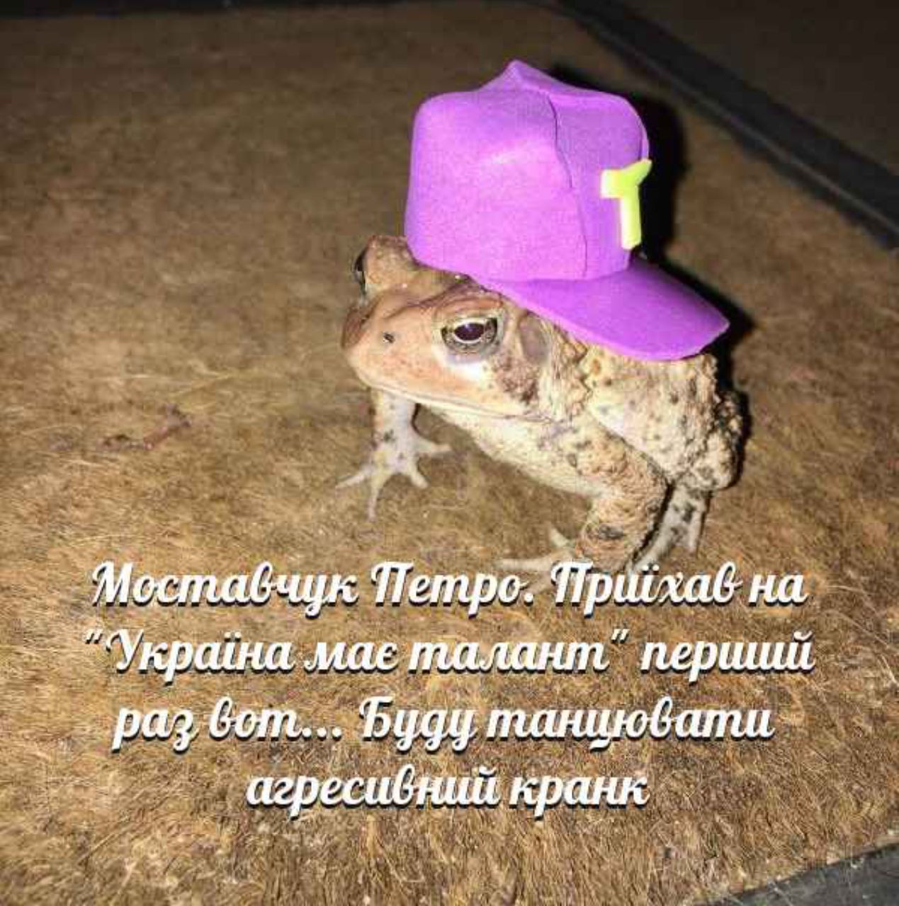 user