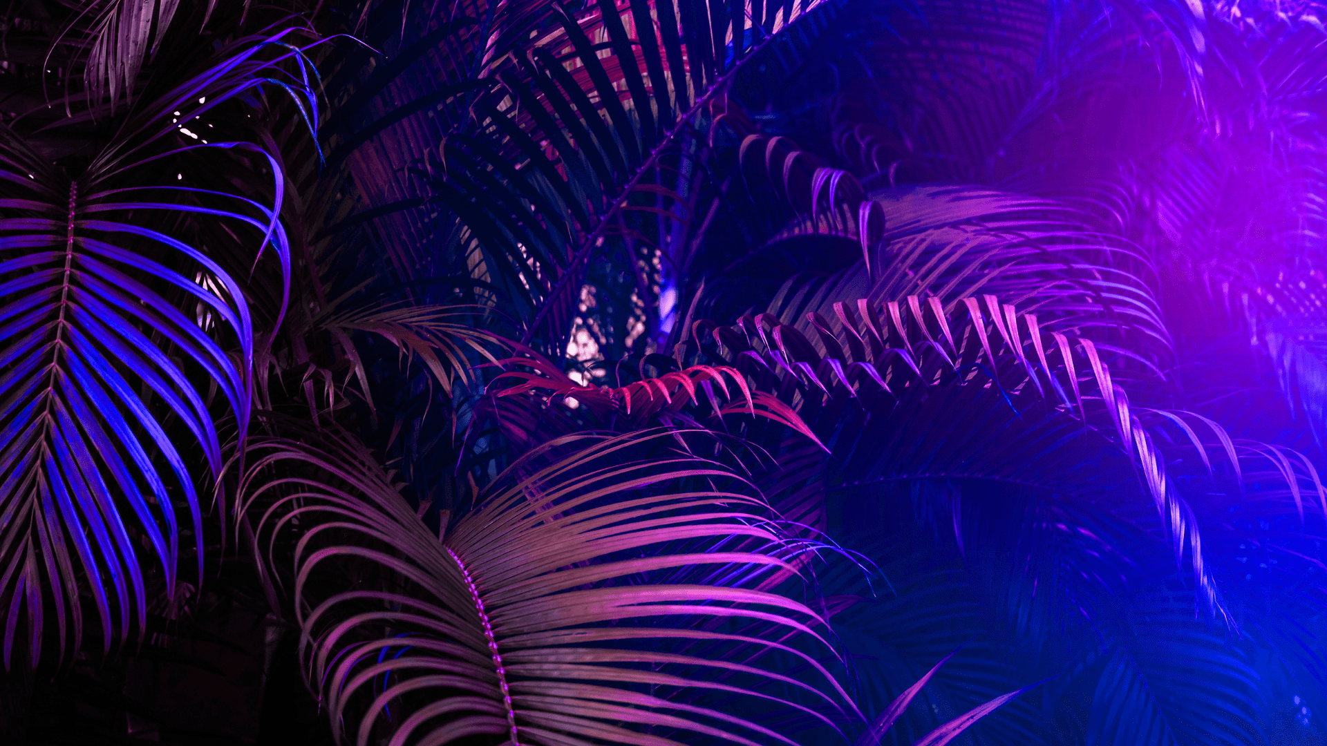header-img