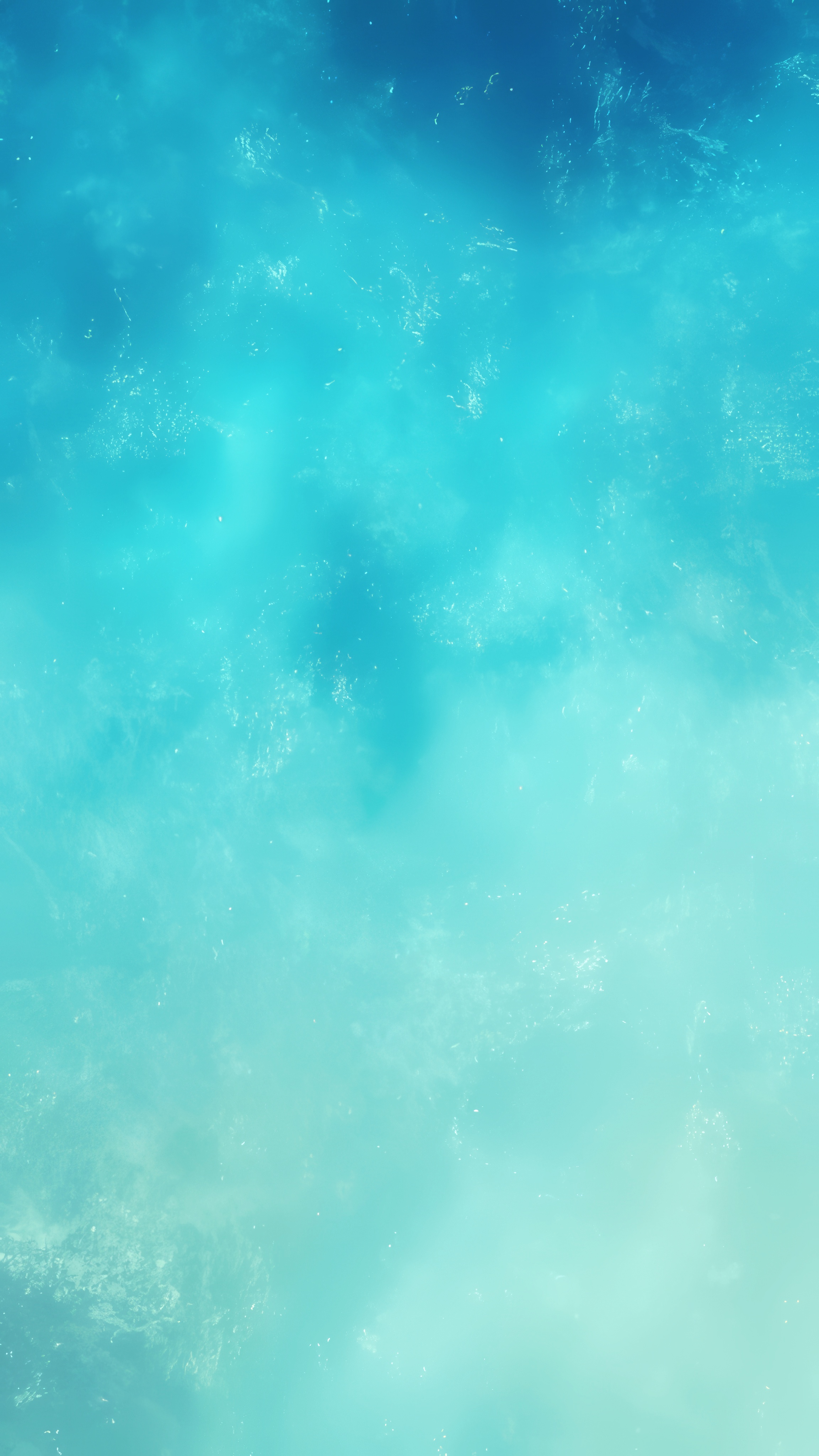 header-img