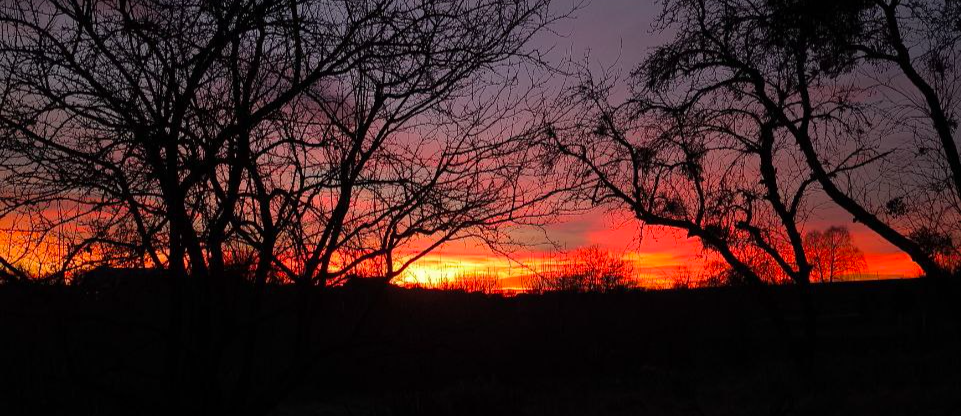 header-img