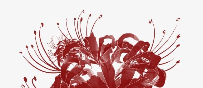 header-img