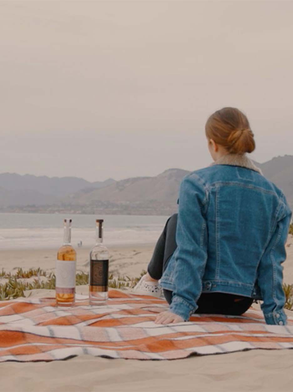 woman sitting on a blanket on the beach with bottles of Donati Spirits