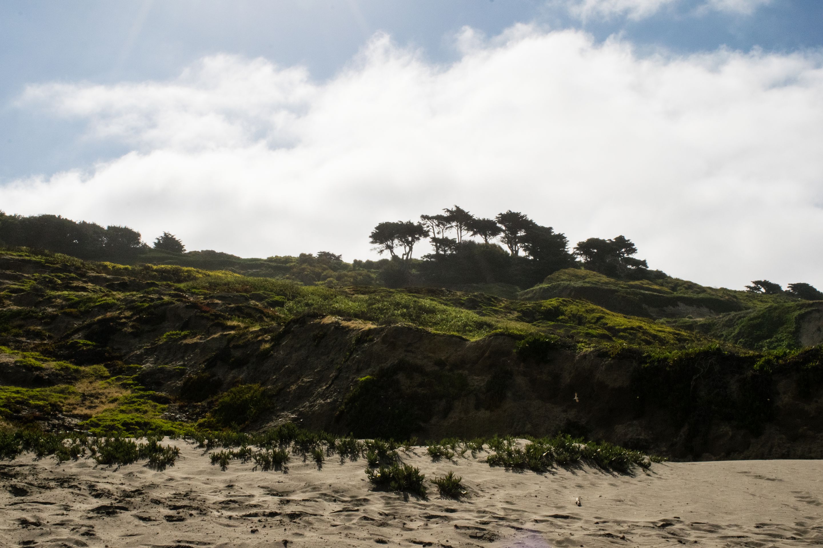 Funston Beach, Hillside