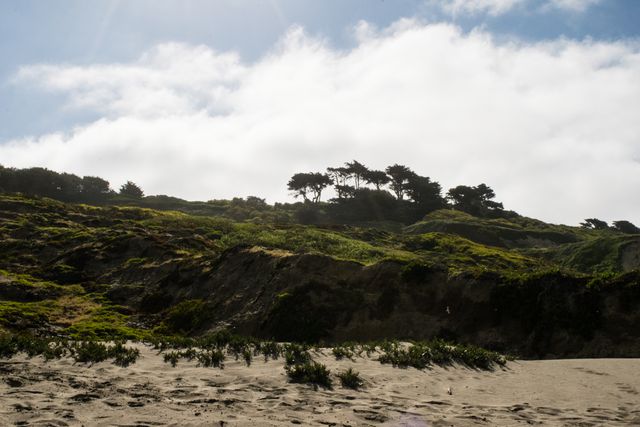 Funston Beach, Hillside