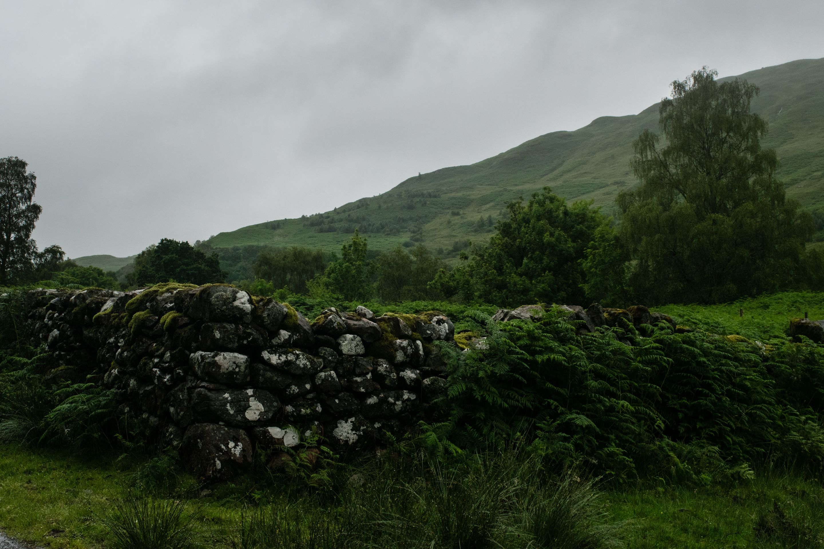 Scottish Highlands, Fence 1