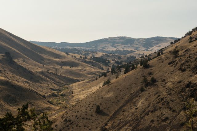 Ochoco National Forest, Oregon