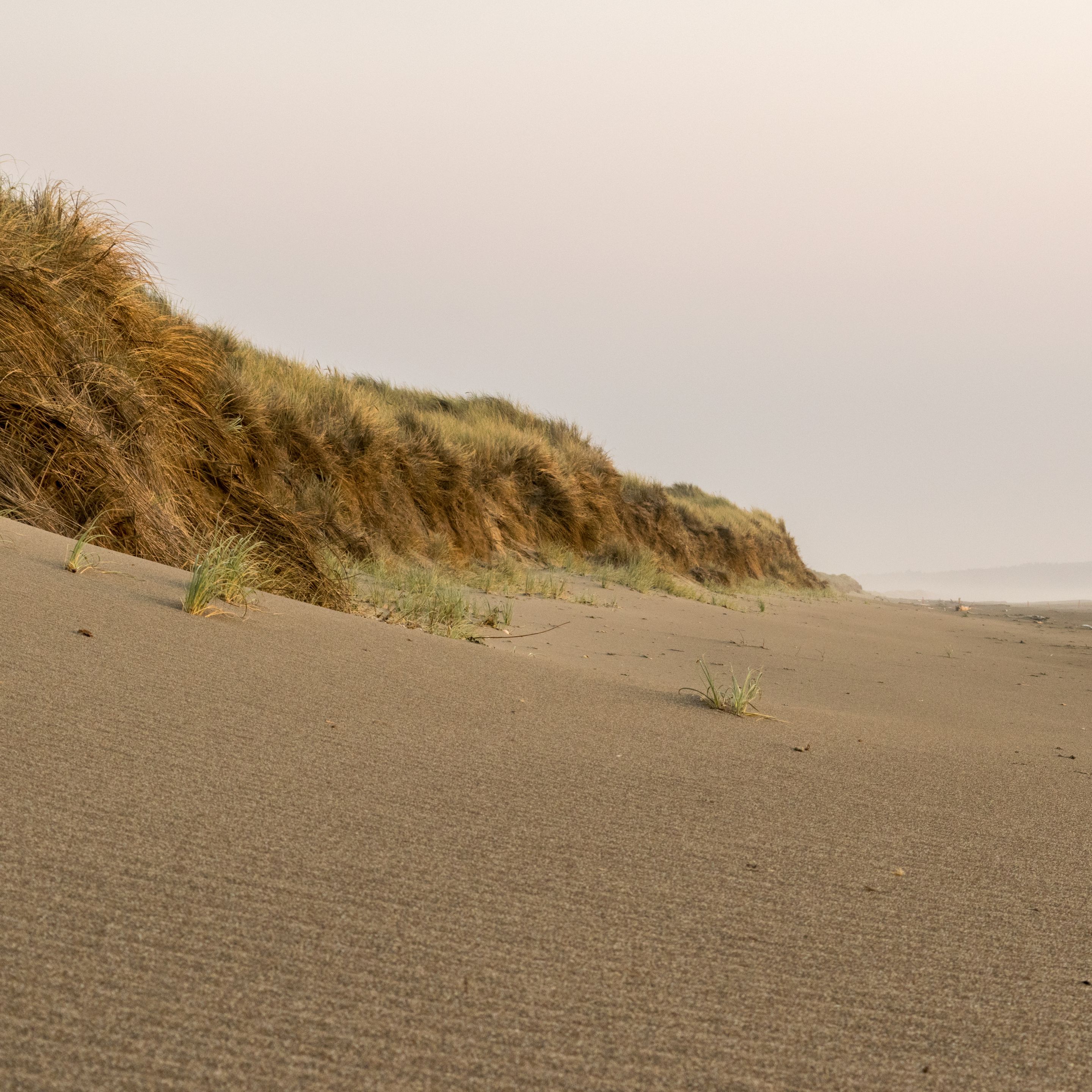 Oregon Backpacking, Beach