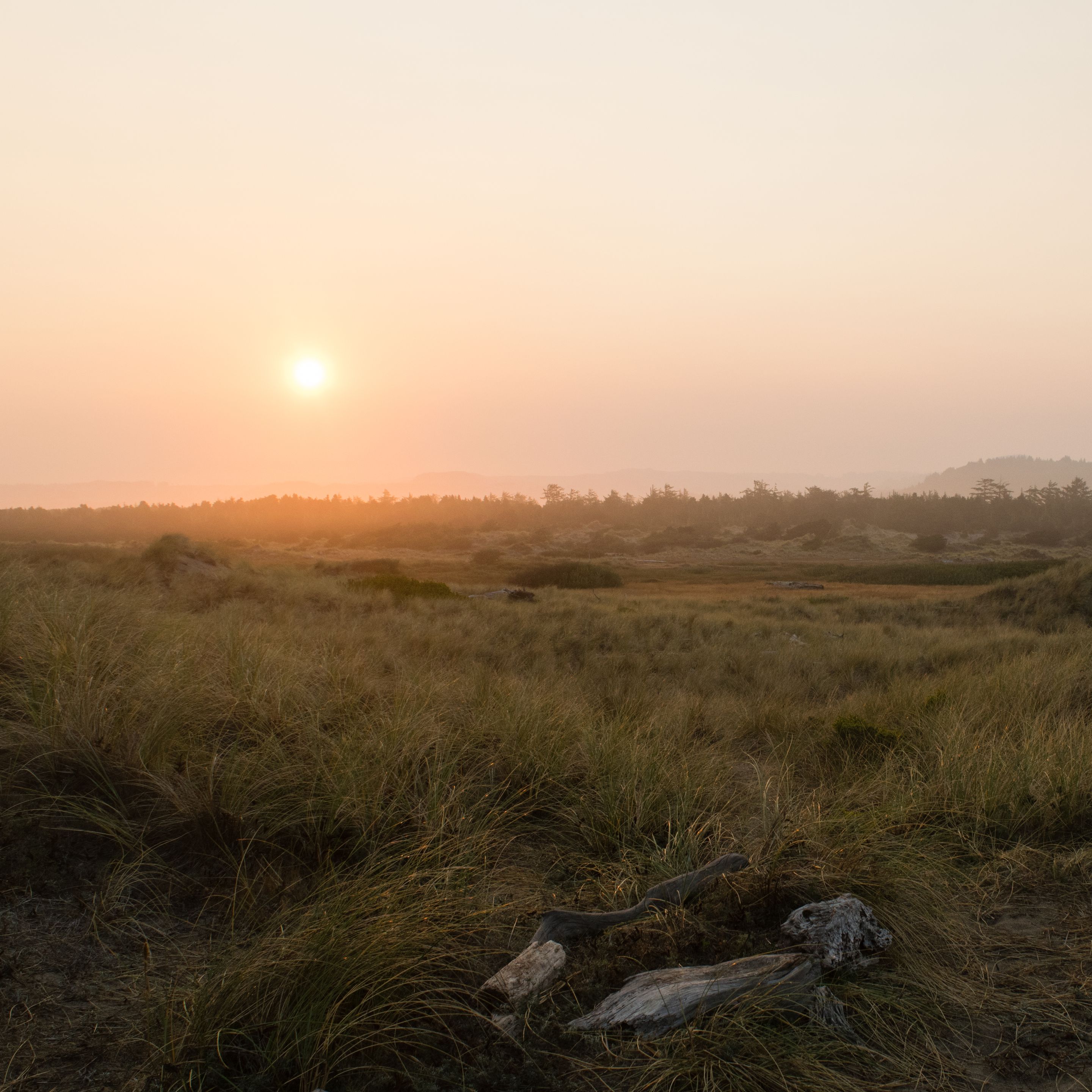 Oregon Backpacking, Sunset