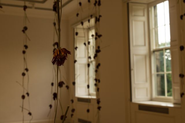 Exhibit by Anya Gallaccio