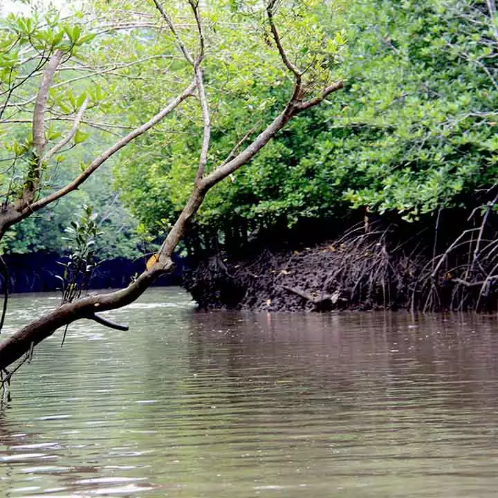 image4