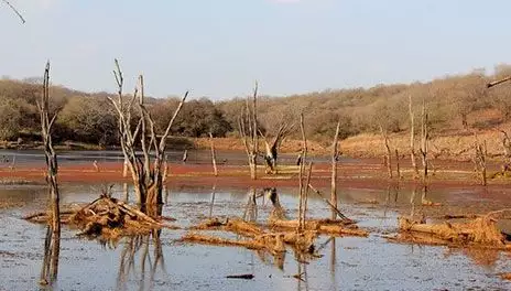 Ranthambore National Park