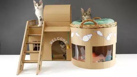 Cat House