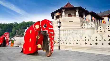 Temple of the Sacred Tooth Relic