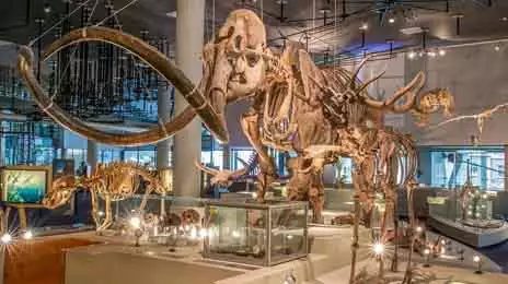 Natural History Museum Rotterdam