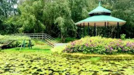 Blossom Hydel Park