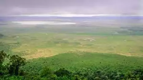 Ngorongoro Conservation Area