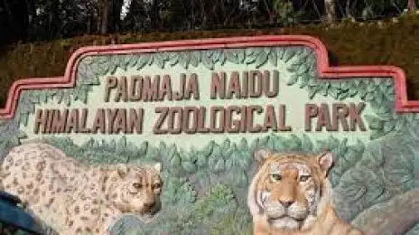 Padmaja Naidu Himalayan Zoological Park