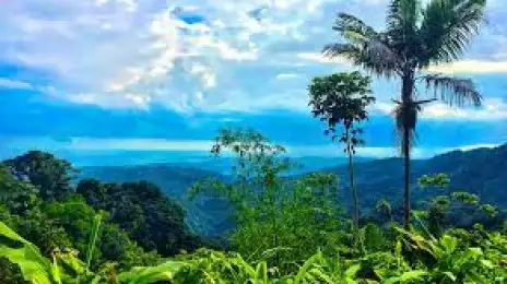 El Yunque National Forest