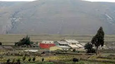 Pampa de Arrieros