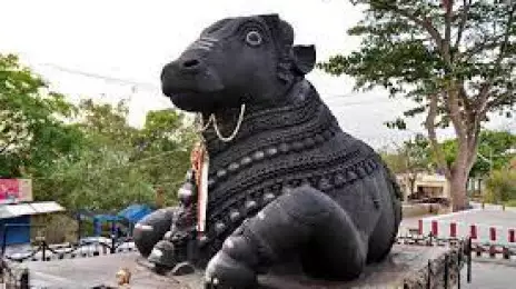 Bull Temple Bangalore