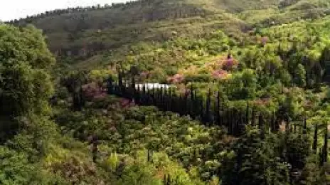 National Botanical Garden of Georgia