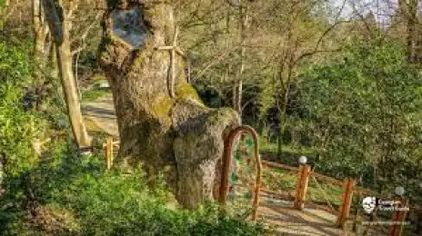 Kutaisi Botanical Garden