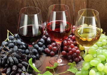 Georgian Wineries