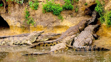 Katavi National Park