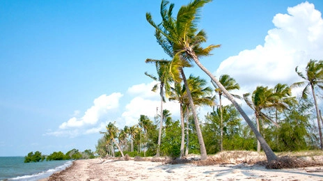Saadani National Park