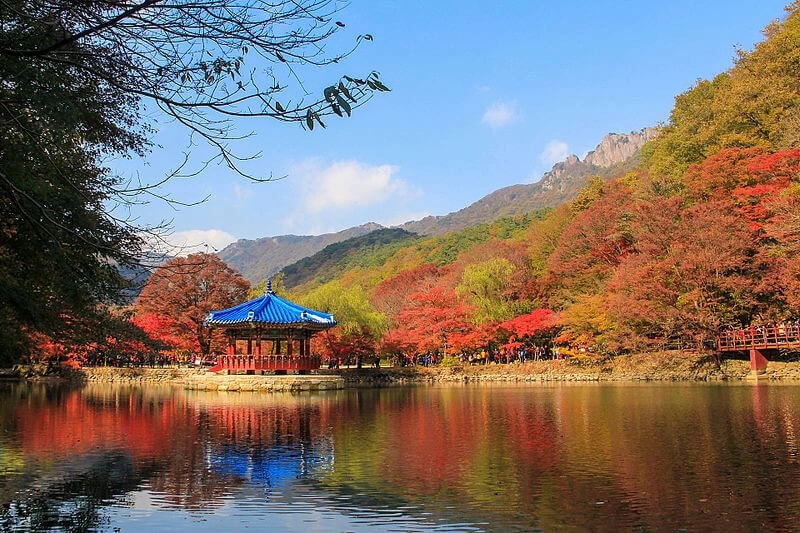 Naejangsan National Park
