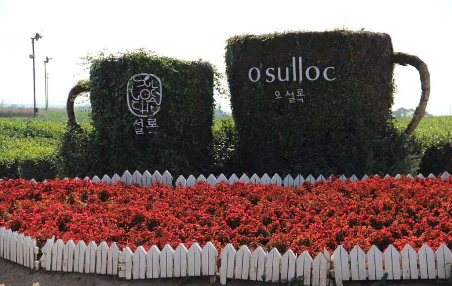 Osulloc Tea Museum