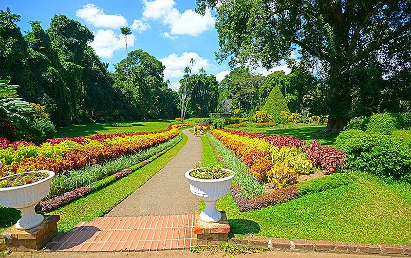 Royal Botanical Garden