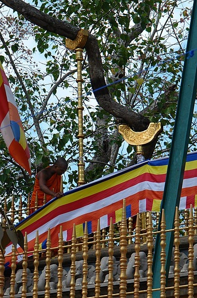 Sri Maha Bodhi