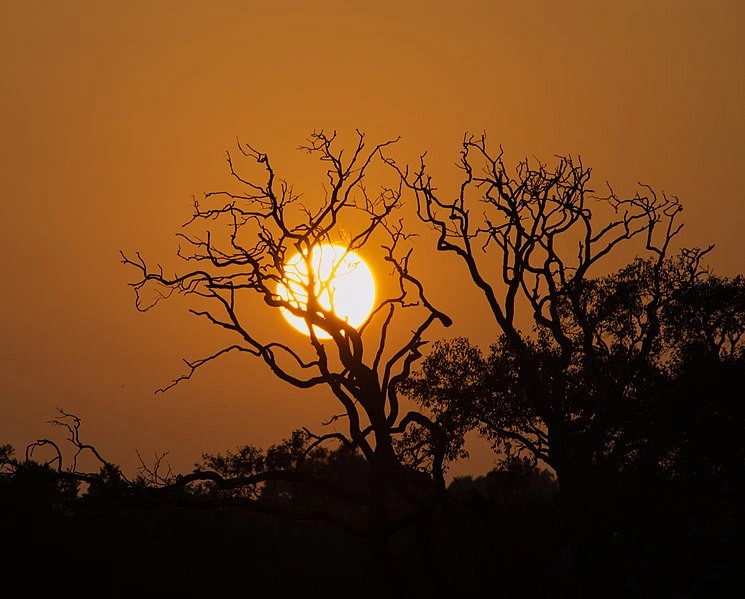 Wilpattu National Park