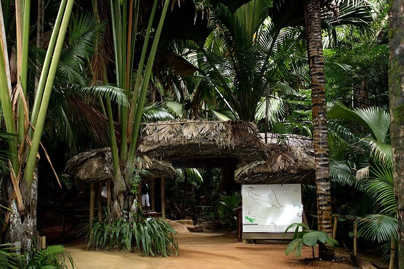 Vallée de Mai, Praslin, Seychelles