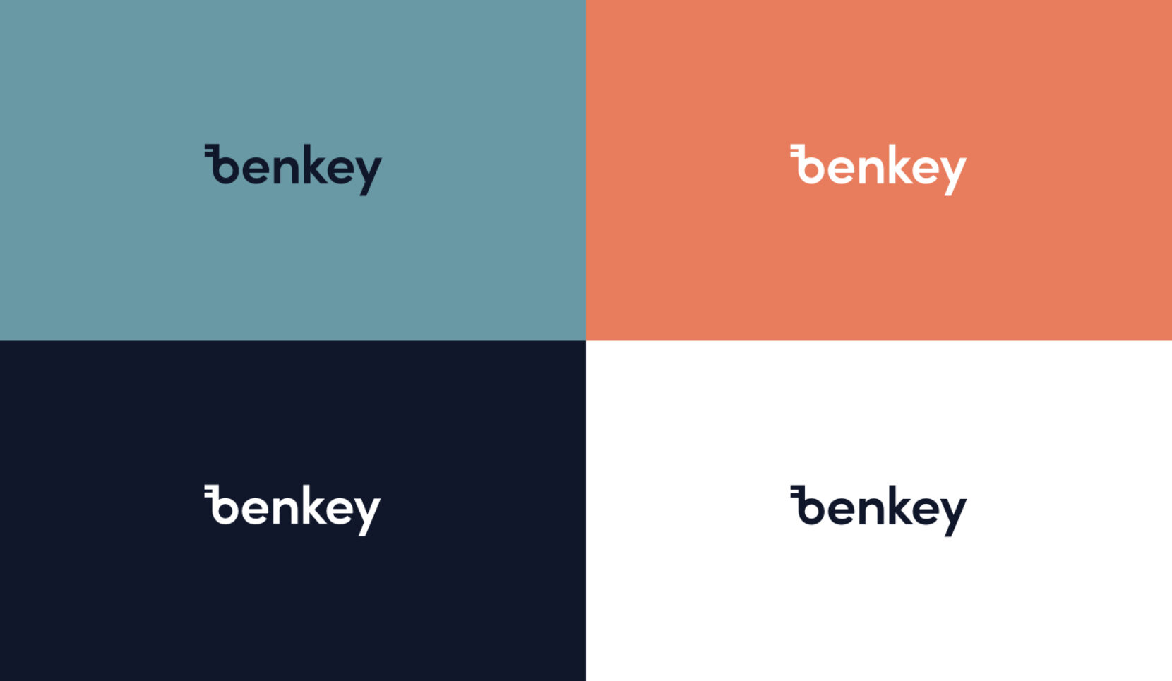 Benkey logovariatie