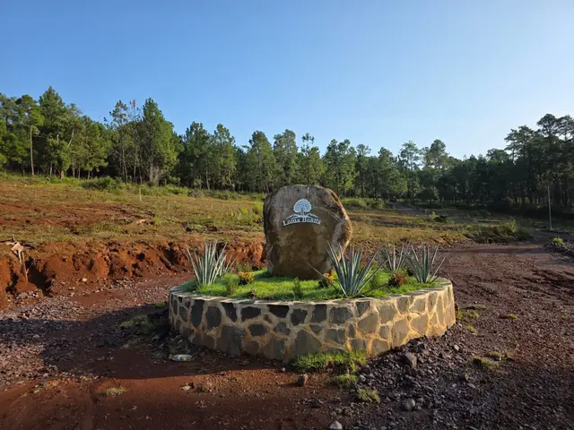 Terreno en el Bosque 20 min antes de Tapalpa a 60 meses sin intereses — foto 3 de 6