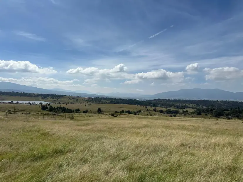 Terreno de 6000 m2 en venta en Amealco de Bonfil, Querétaro — foto 7 de 10