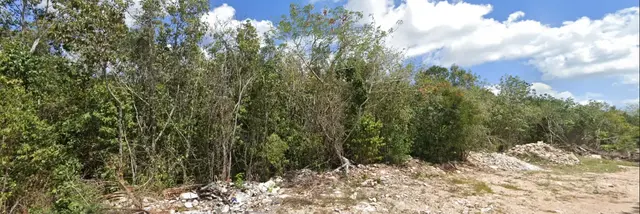 Lote en Venta en Álamos II, Cancún | 220 m² Listo para Escriturar — foto 4 de 6