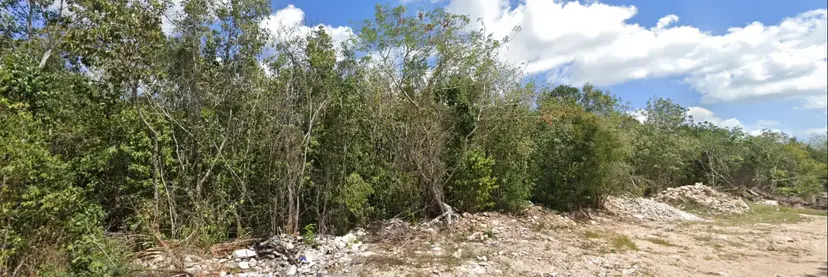 Lote en Venta en Álamos II, Cancún | 220 m² Listo para Escriturar — foto 4 de 6