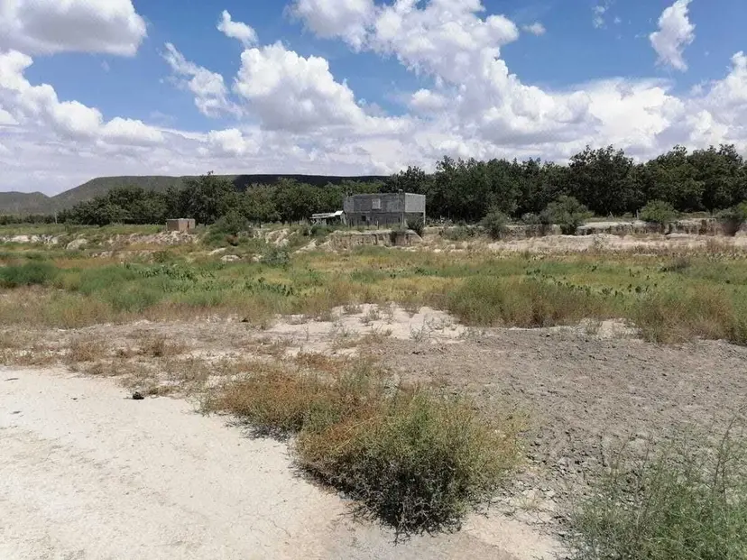 Huerta de nogales en venta en PARRAS — foto 17 de 35