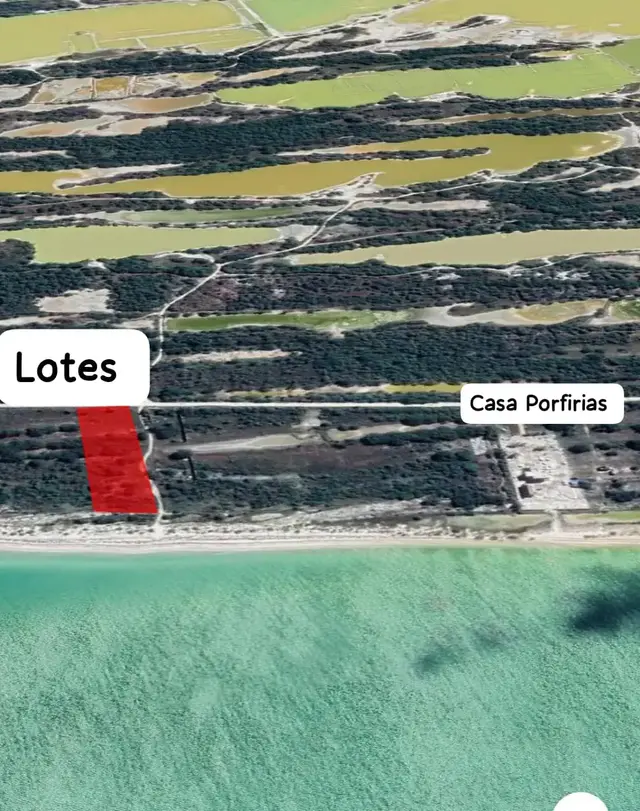 Terreno a 20m de la Playa en Celestun Yucatán $650mil — foto 5 de 13