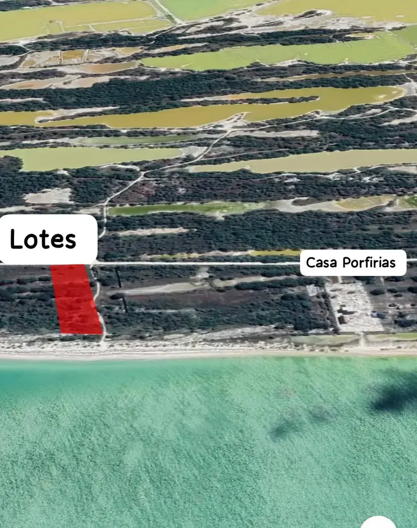 Terreno a 20m de la Playa en Celestun Yucatán $650mil — foto 5 de 13