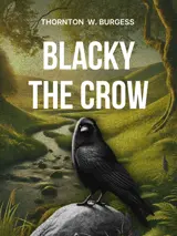 Cover of the book Blacky the Crow by Thornton W. Burgess, designed by Fabuly - a free classic audiobooks app.