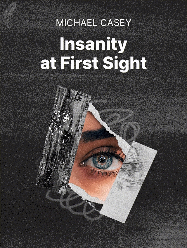 Insanity at First Sight by Michael Casey - book cover image