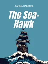 Cover of the book The sea-hawk by Rafael Sabatini, designed by Fabuly - a free classic audiobooks app.