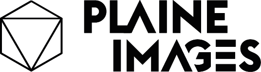 Plain Image logo