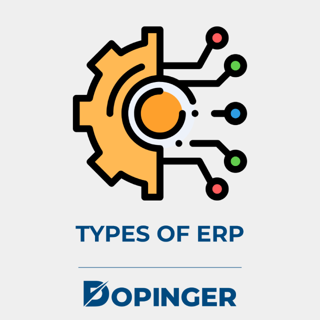 types of erp