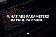 What Are Parameters in Programming?